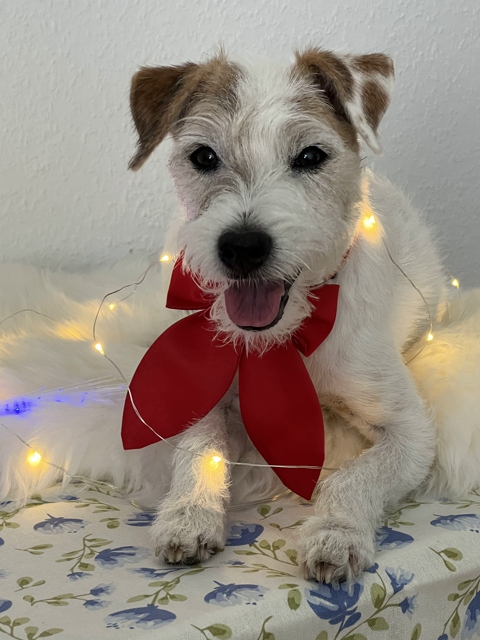 12. Geburtstag